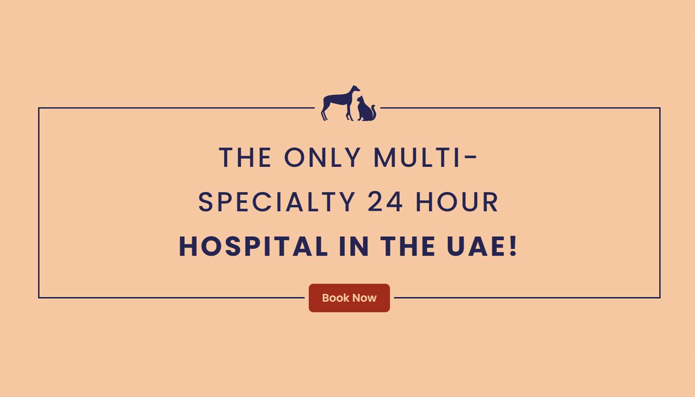 The only multi-speciality 24 hour hospital in the UAE! Book Now